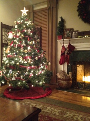 20121218-201941.jpg