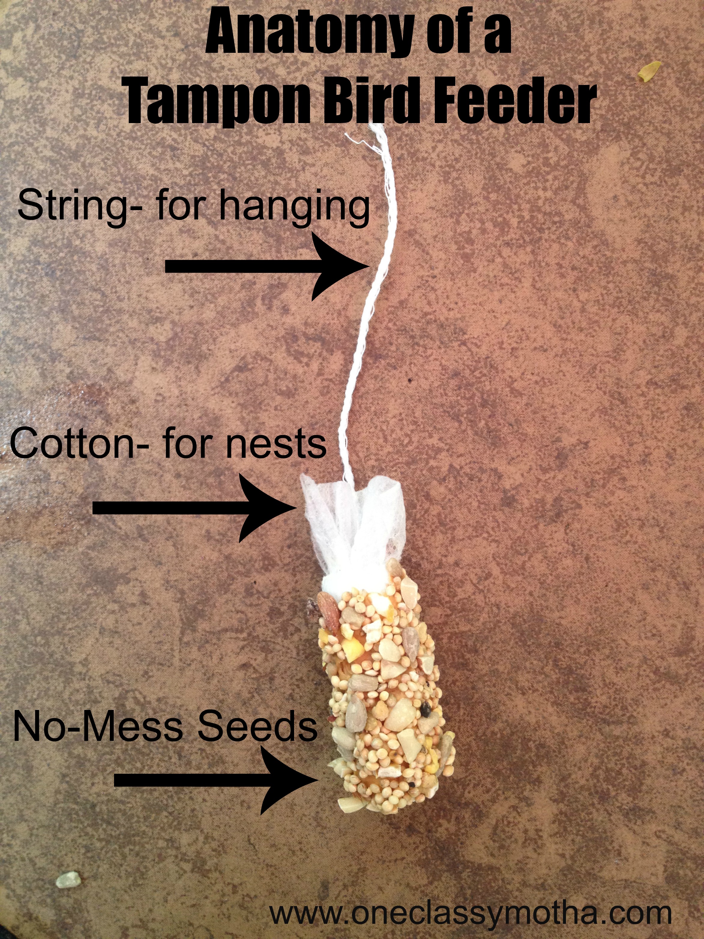 Mispend Accompany evolution Tips for Tuesday- A Tampon Bird Feeder revisited