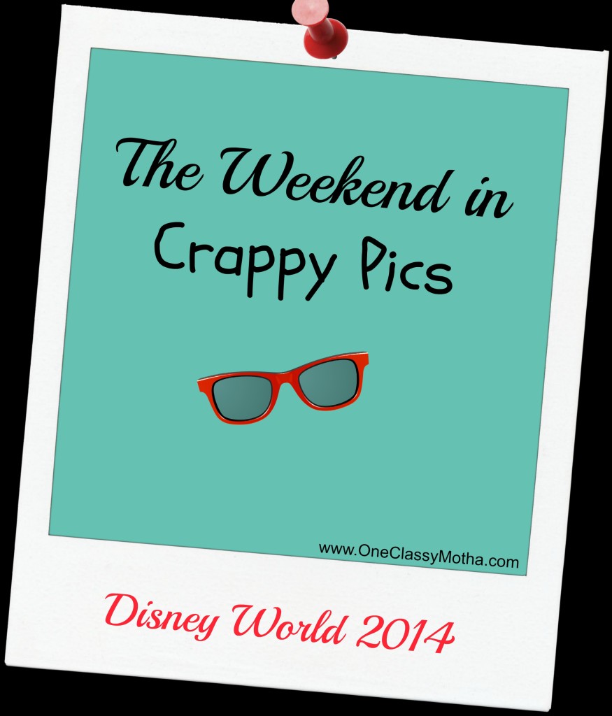 The Weekend in Crappy Pics - Disney 2014, family vacation is not always a fairy tale.